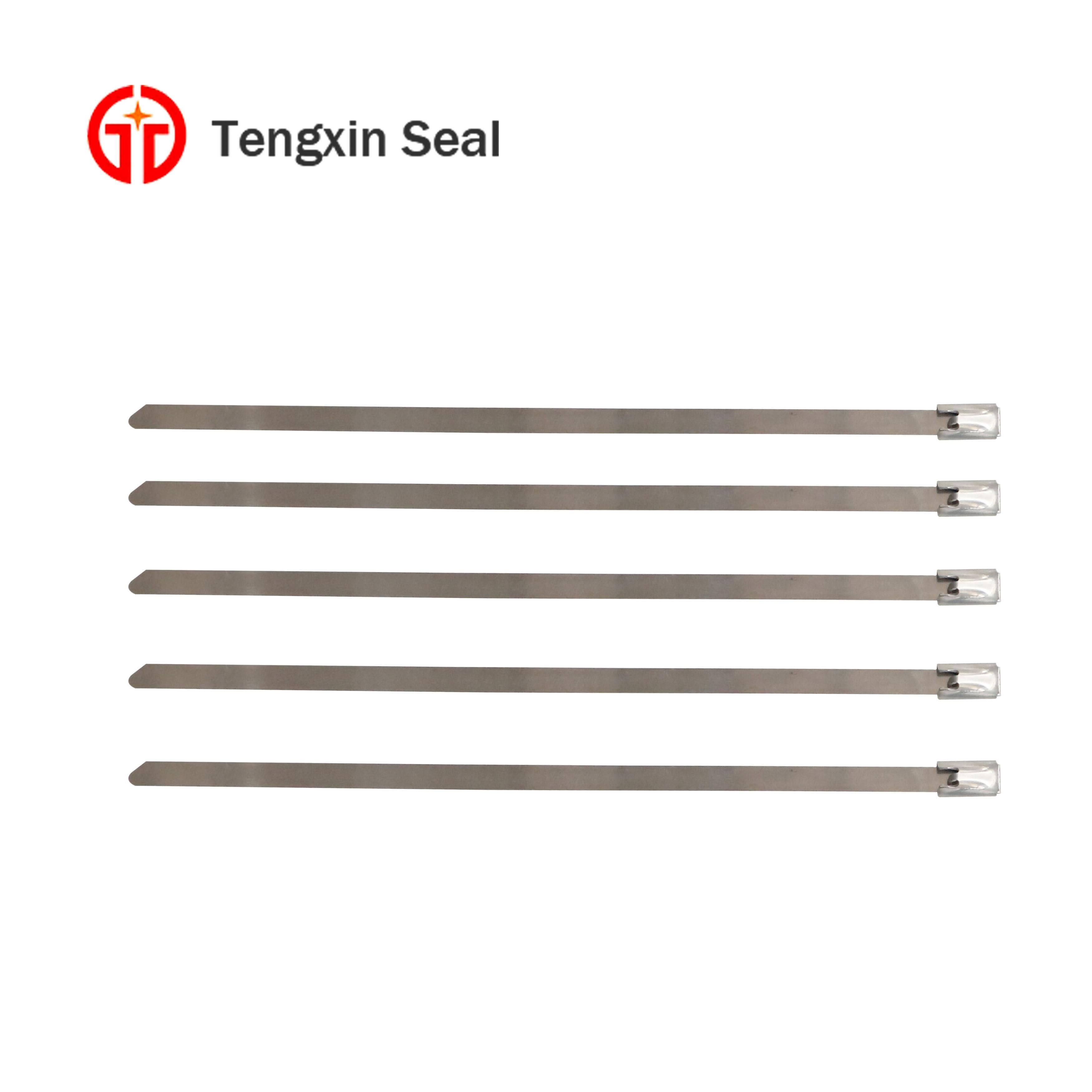 metal strap seal TX_SS102